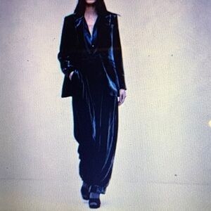 Banana Republic Norte Velvet Pleated Relaxed Pants 2